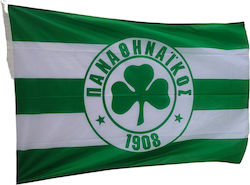 STEAG PANATHINAIKOS 100X150 CM NET