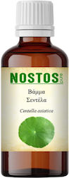 Nostos Pure Tincture Centella Tincture 100ml