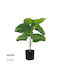 GloboStar Künstliche Pflanze in Blumentopf Artificial Garden FICUS RELIGIOSA TREE Grün 50cm 1Stück