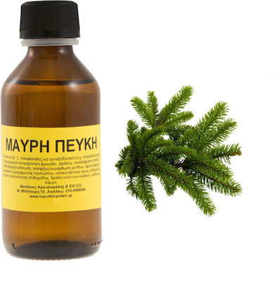 Pine black pine plant oil 100ml