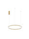 Fan Europe Hoop Pendant Lamp with Built-in LED Gold