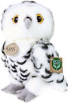 Plush Owl 25 cm