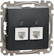 Schneider Electric Sedna Design Telefonsteckdose ohne Rahmen Doppelter in Grau Farbe SDD114492