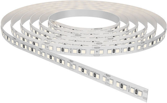 Braytron LED-Streifen 24V Kaltweiß Licht 5m Typ SMD5050
