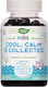 Nature's Way Kids Cool Calm & Collected Anxiety Supplement 40 jelly beans
