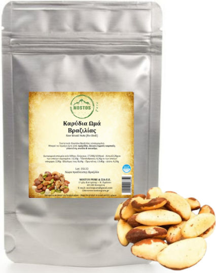 Nostos Pure Καρύδια Βραζιλίας Ωμά Χωρίς Αλάτι 500gr