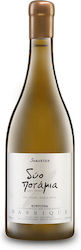 Ktima Samartzi Two Rivers White Dry 750ml Ktima Samartzi Two Rivers White Dry 750ml