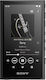 Sony NW-A306 MP3 Player (32GB) with TFT 3.6" Display Black