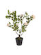 Plantă Artificială în Ghiveci Trandafir White 51cm Bizzotto