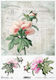 ITD Collection Ριζόχαρτο Decoupage