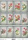 ITD Collection Ριζόχαρτο Decoupage