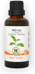 Herbstore Tincture Matcha Tincture Green Tea 50ml Energy