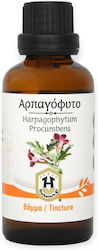 Herbstore Tincture Tincture Harpagophytum 50ml Energy Herbstore Tincture Tincture Harpagophytum 50ml Energy