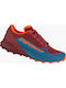 Dynafit Ultra 50 Sport Shoes Running Mallard Blue / Syrah