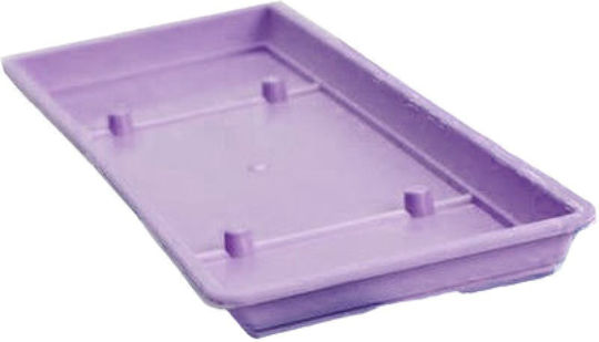 Micplast Plate Planter Plastic Purple 35x15cm 018.084008