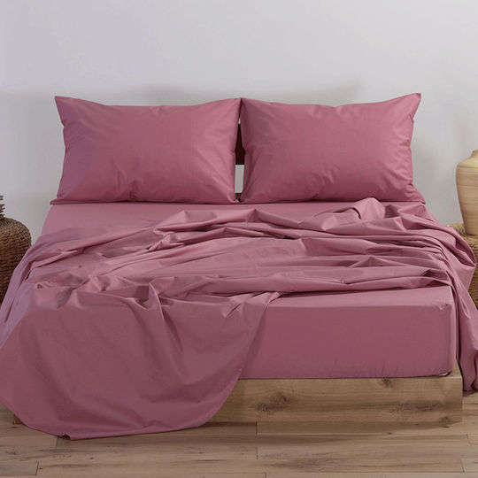 Flamingo Cearșaf King Size cu Elastic 180x200+25cm. Rainbow Berry