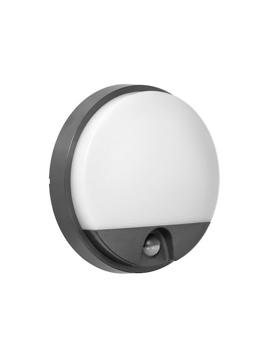 Redled Стенно Външно Плафонно Осветление LED IP54 15W с Естествено бяло Светлина