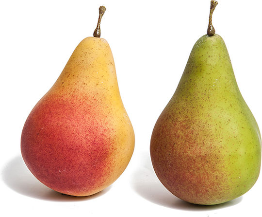 Zaros Decorative Pear 8.5x9cm 1pcs
