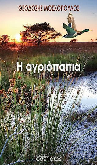 Η Αγριόπαπια Η Αγριόπαπια