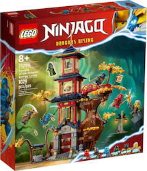 Lego Ninjago Temple of the Dragon Energy Cores pentru 8+ ani