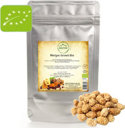 Nostos Pure 