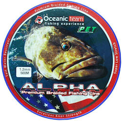 Oceanic Team Fischereifaden Länge 500m