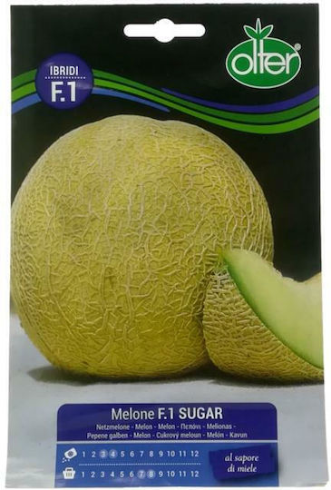 Olter Samen Melone Zuckerweiß