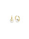 Ti Sento Earrings Hoops