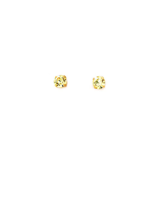 LifeLikes Earrings Gold Plated with Stones