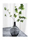 Dream House Store Glass Vase 25x25x38cm