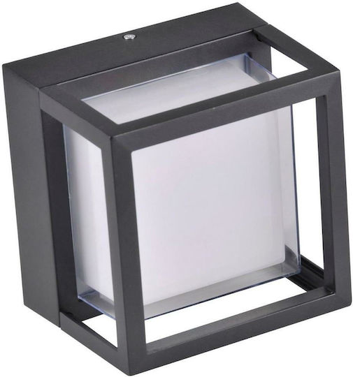 Polux Wandmontierte Außen-Deckenleuchte LED IP44 12W