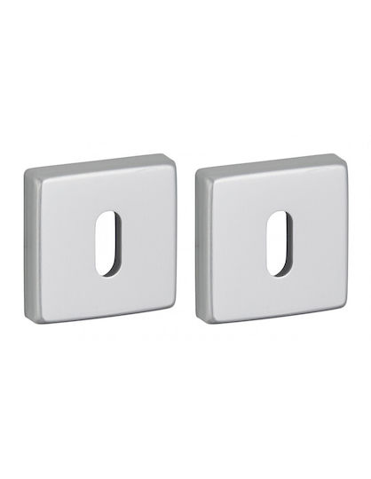 Thirard Rosette - Door Escutcheon Door Knobs Silver