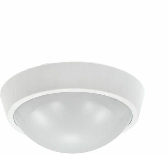 Vito Wall-Mounted Outdoor Ceiling Light LED IP65 25W with Natural White Light