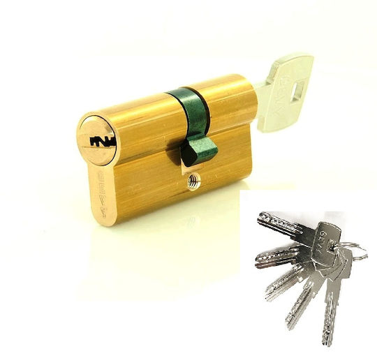 Gevy Zylinderschloss Sicherheits 100mm (40-60) mit 5 Schlüssel Gold