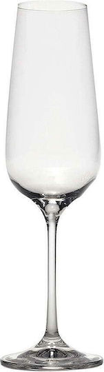 Zafferano Champagner Kelch Kristall 190ml