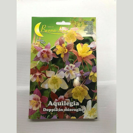 Primasem Seeds Columbine (Aquilegia) Primasem Seeds Columbine (Aquilegia)