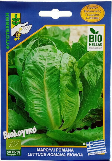 Geniki Fytotechniki Athinon Semințe Salată Verde Română Organică 10gr