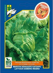 Γενική Φυτοτεχνική Αθηνών Seeds Lettuce Organic Cultivation
