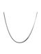 Paraxenies Silver Chain Neck Snake