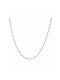 Paraxenies Silver Chain Neck