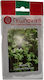 Geoponiki Seeds Cress 25gr