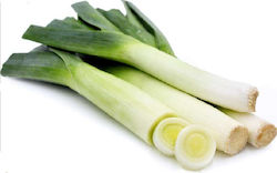 Geoponiki Leek Seed 100gr