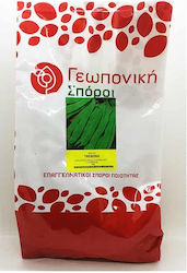 Geoponiki Trebona Seeds Beans 1.0kg