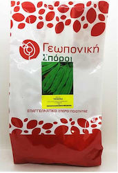 Geoponiki Trebona Samen Bohne 1.0kg