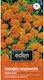 Eden Seeds Calendulaς Orange 1gr