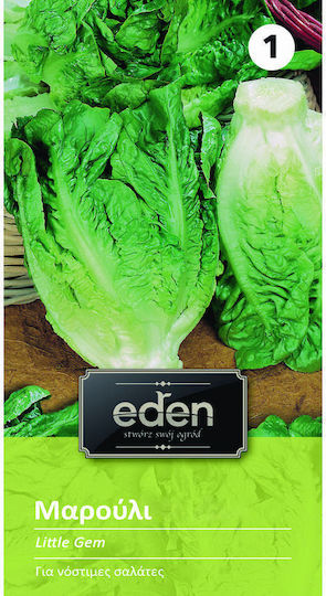 Eden Σπόροι Μαρουλιού 0.5gr