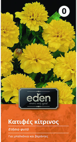 Eden Σπόροι Καλέντουλας Κίτρινο 0.5gr