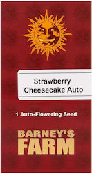 Barneys Farm Seeds Strawberryς