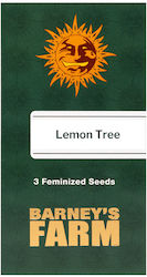 Barneys Farm Seeds Cannabis