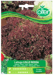 Olter Seeds Lettuce
